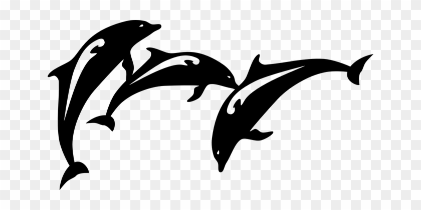 Dolphin Fish Jumping Animal Mammal Silhoue - Dolphins Ocean Sea Bathroom Wall Decor Wall Stickers #292797