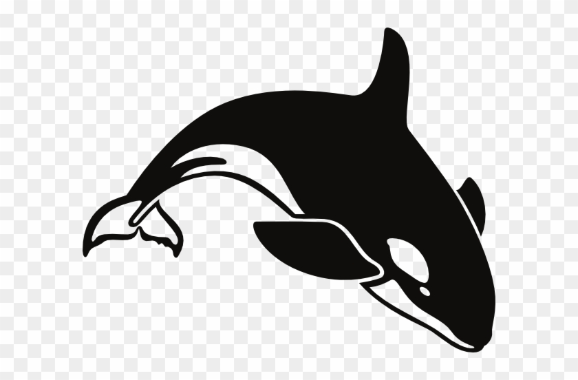Killer Whale Humpback Whale Clip Art - Black And White Whale #292824