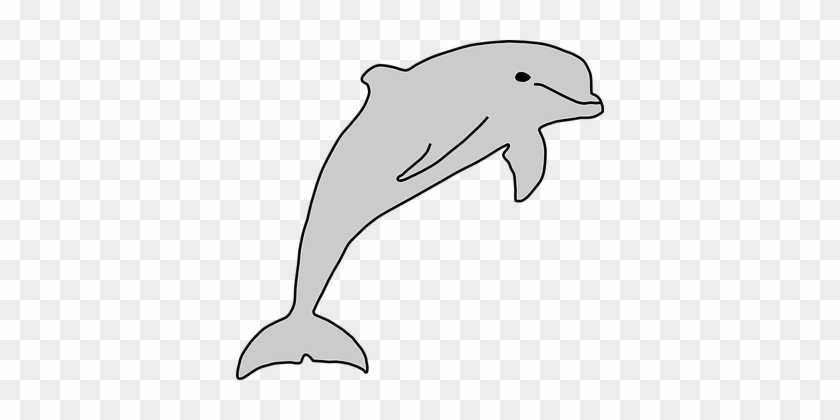 Dolphin Fish Sea Life Sea Mammal Mammal Sw - Delfín Clipart #292892