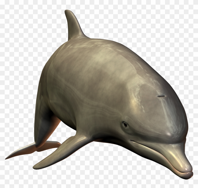 Dolphins Jumping Clipart Download - Bottlenose Dolphin Png #292985