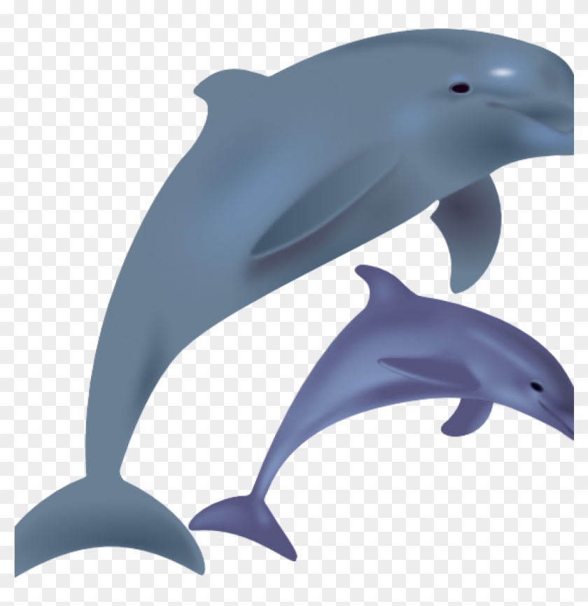 Dolphin Clipart Dolphins Clip Art At Clker Vector Clip - Cartoon Dolphin Png  - Free Transparent PNG Clipart Images Download