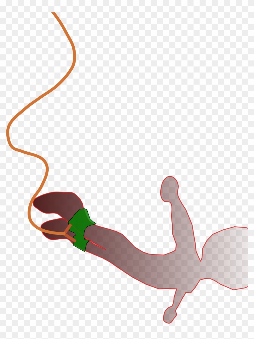 Bungee Jumping Cliparts - Bungee Jump Png #293050