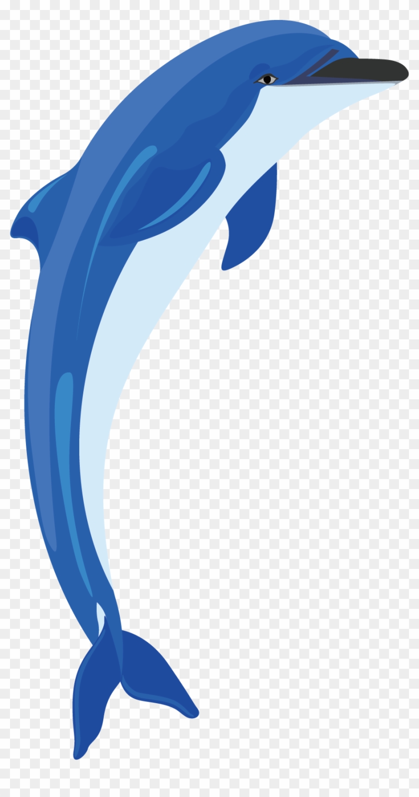 Common Bottlenose Dolphin Tucuxi Clip Art - Vector Graphics #293054