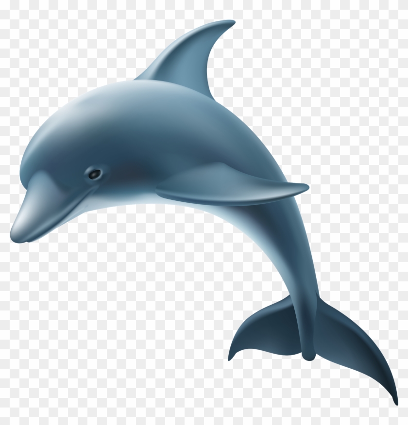 0, - Transparent Dolphin #293062