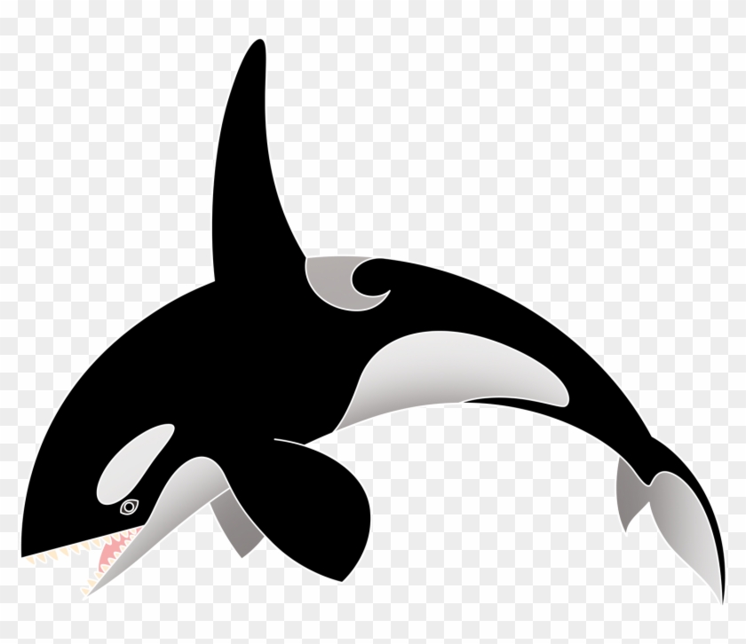 Killer Whale #293114