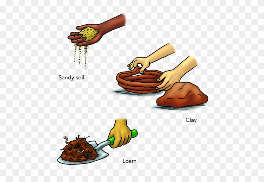 Different Soil Types - Loam Soil Drawing #293180