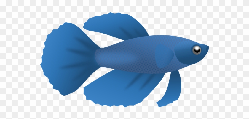 Betta Fish Clip Art - Royalty-free #293261