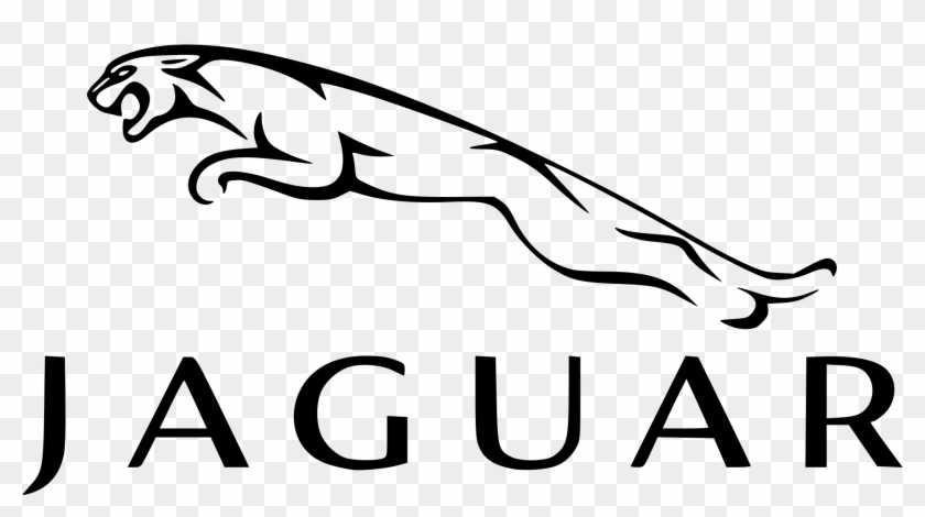 Top 18 Jaguar Logo Items - Jaguar Logo #293535