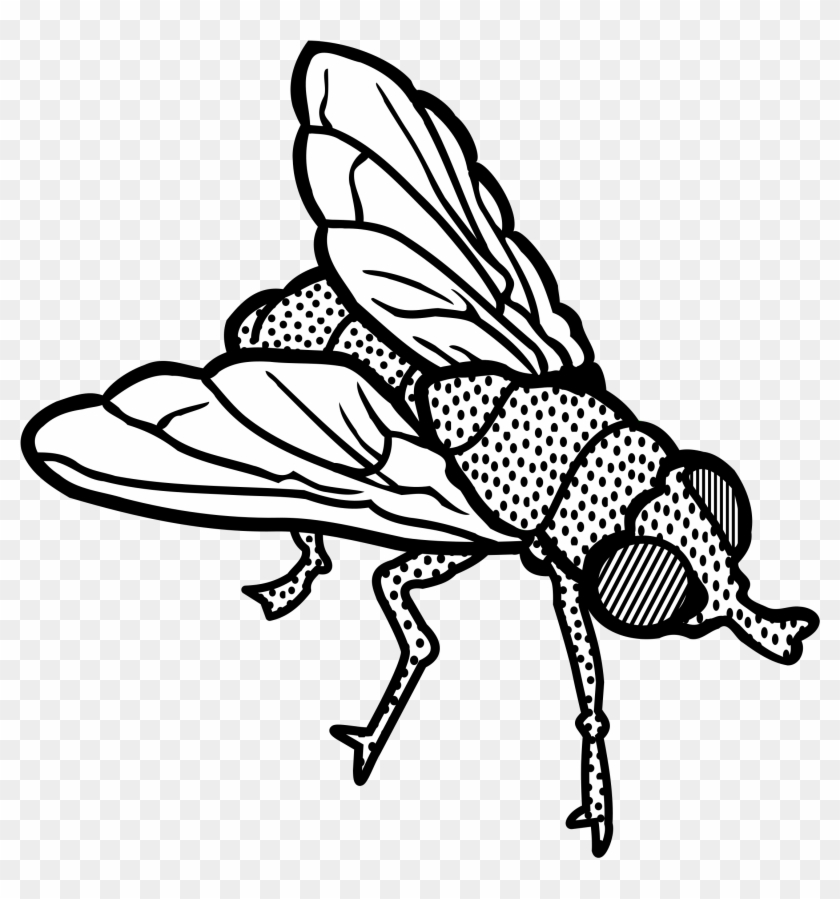 Fly - Lineart - Fly Clipart Black And White Png #293695