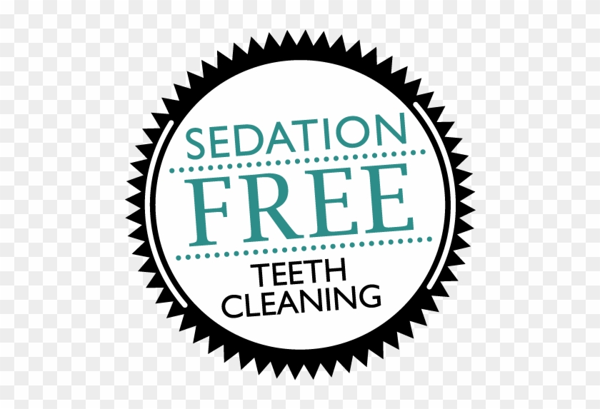 Sedation Free Dog Teeth Cleaning - Shimano Fc 5700 39t #293693