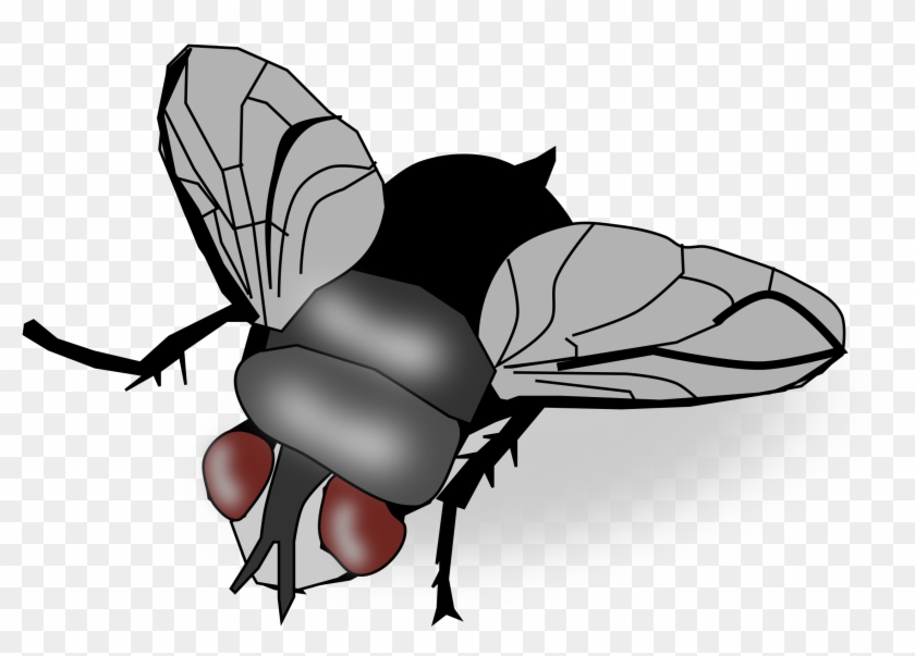 Fly - Fly Clipart #293998