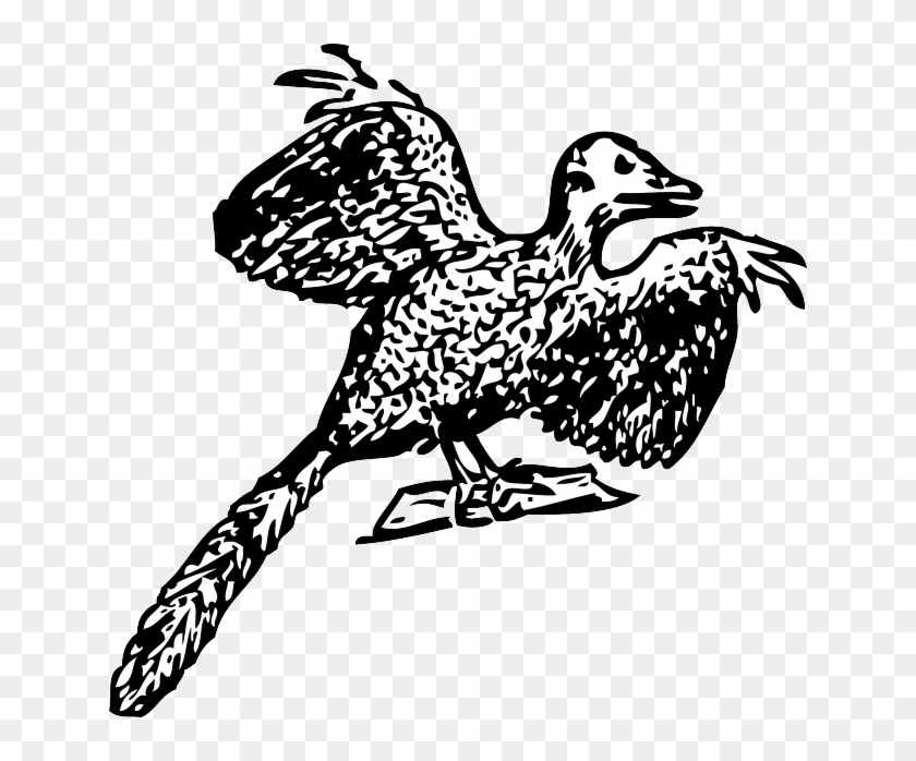 Carnivore Black, Bird, Fly, Historic, Animal, Hunter, - Archaeopteryx #294021
