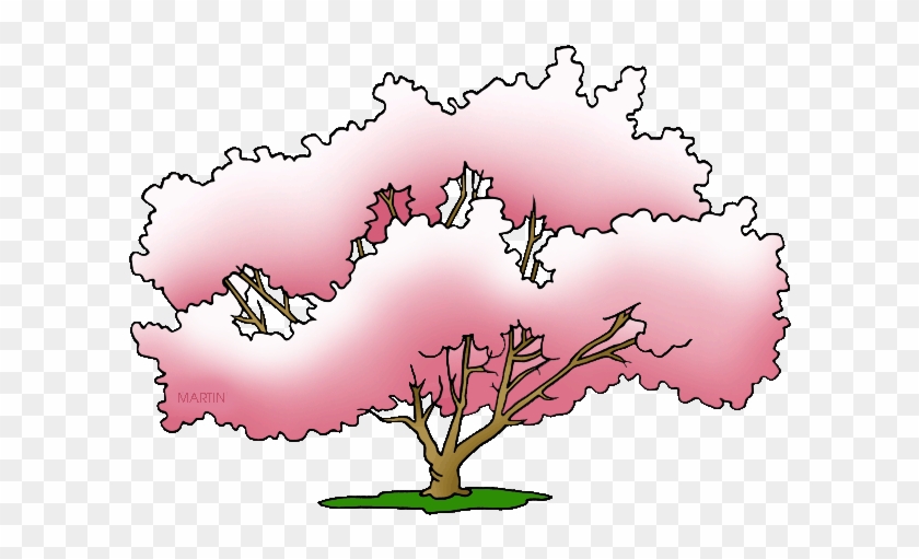 State Tree Of Mississippi - State Tree Of Mississippi #294029