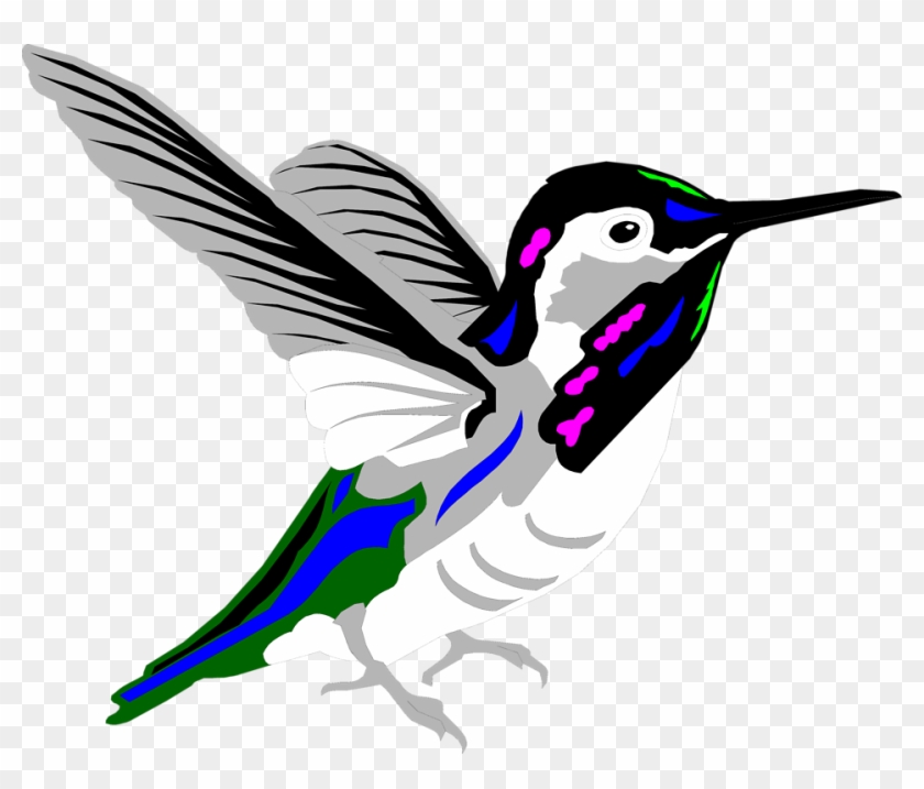 Hummingbird Free Stock Photo Illustration Of A Hummingbird - Colibri Multicolor #294132