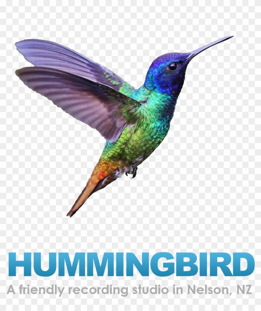 Hummingbird-studio - Maya Rae: Sapphire Birds Cd #294136