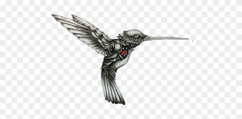 Hummingbird Tattoos For Men #294152