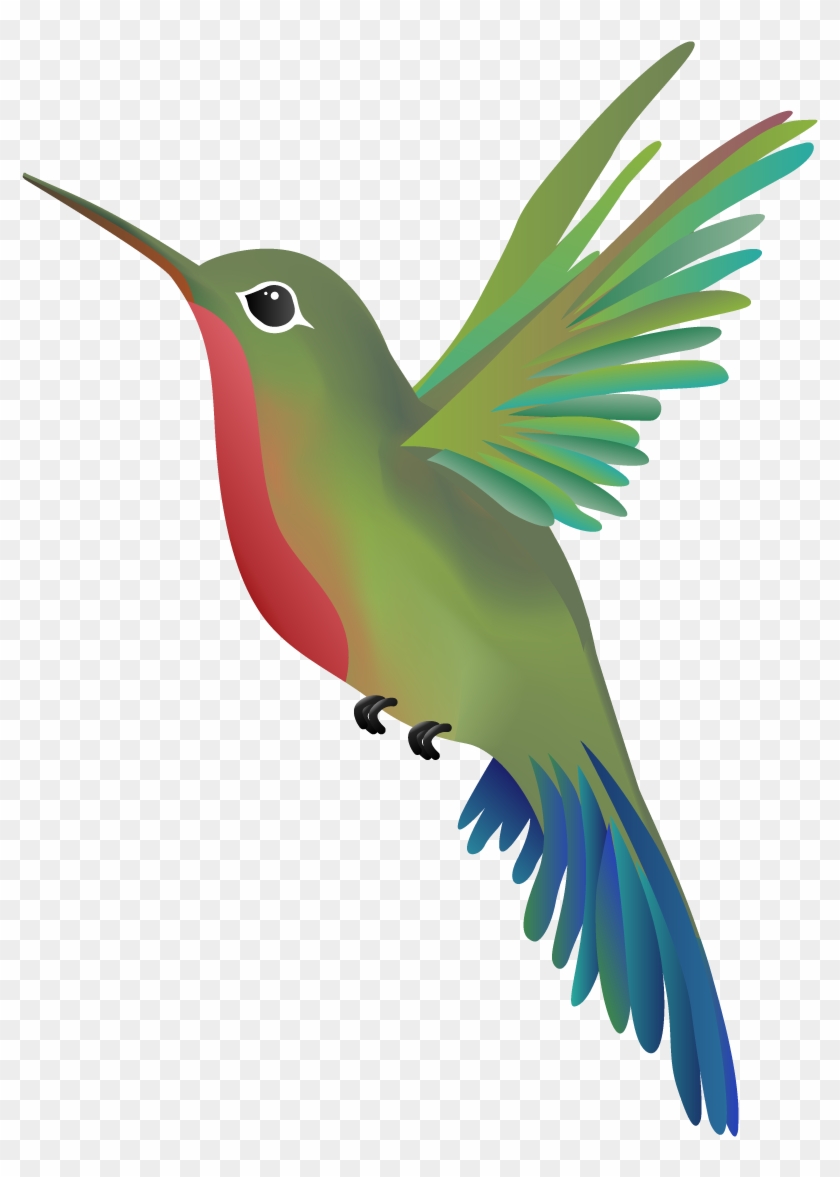 World Champion Massage Issaquah Wandering Hummingbird - Hummingbird #294208