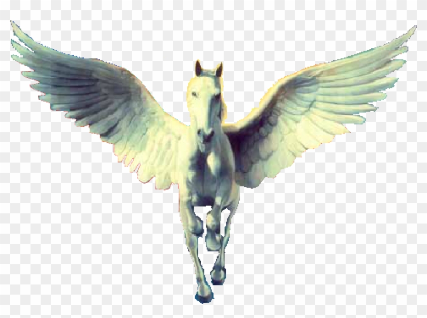 Tristar Transparent - Tristar Transparent #294233