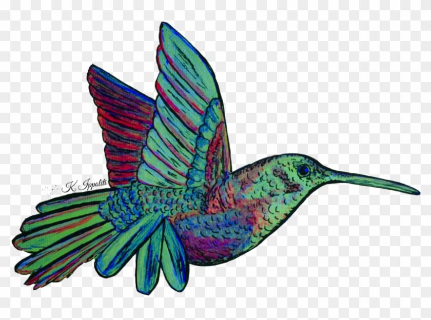 Hummingbird - Hummingbird #294246