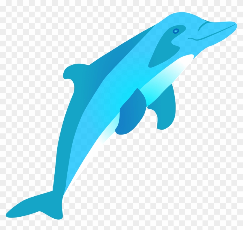 Bottlenose Dolphin Amazon River Dolphin Clip Art - Bottlenose Dolphin Amazon River Dolphin Clip Art #294378
