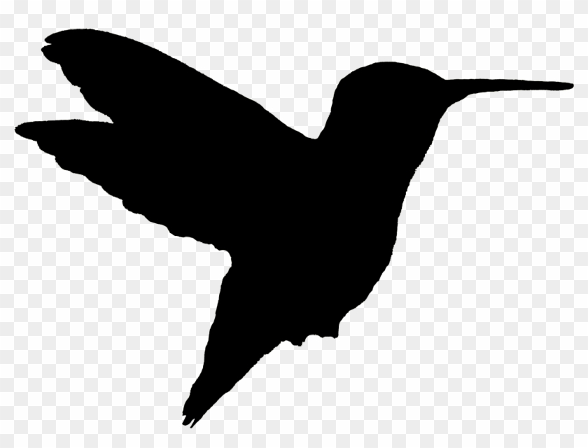 Hummingbird Woodpecker The Gardens At Calvary Silhouette - Hummingbird Woodpecker The Gardens At Calvary Silhouette #294361