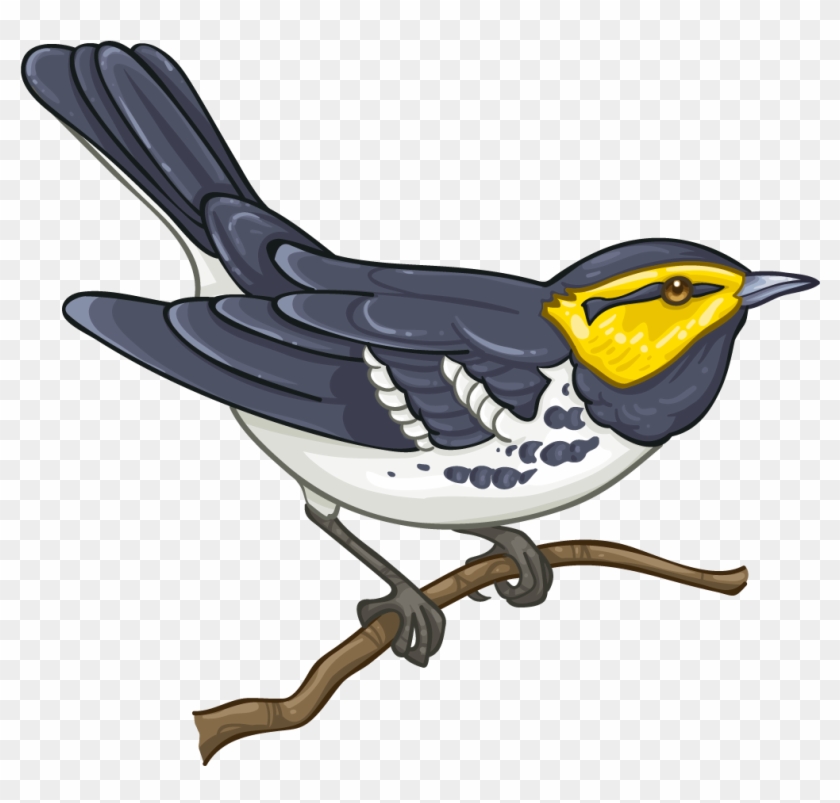 Golden-cheeked Warbler - Golden Cheeked Warbler Png #294352