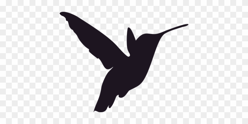 Silhouette Hummingbird Bird Decor Decorati - Hummingbird Stencil #294368