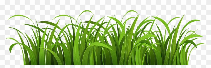 Grass - Green Grass Vector Png #294465