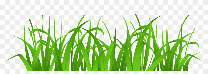 Grass Cover Png Clip Art - Grass Clipart #294474