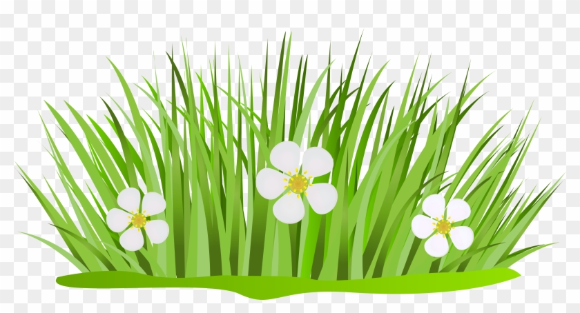 Grass Cartoon Png - Free Transparent PNG Clipart Images Download