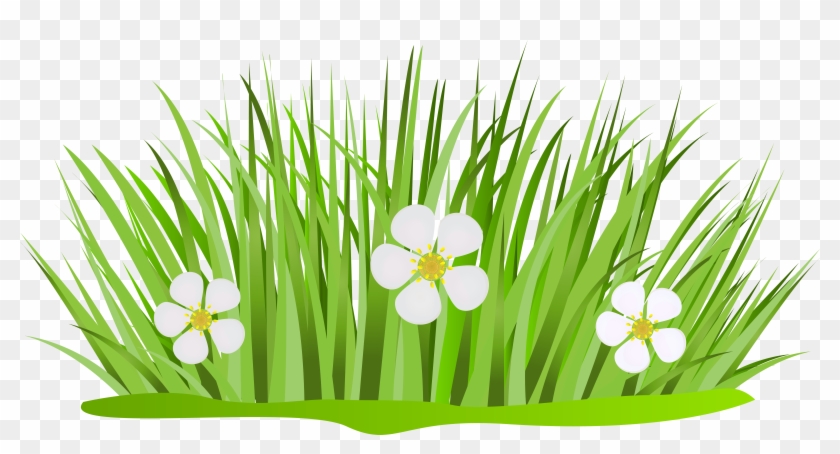 Grass Cartoon Png #294479