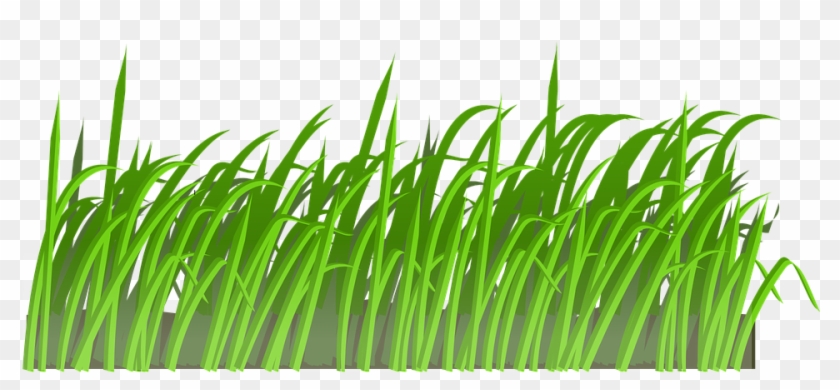 Free Grass Clipart 2, - Field Of Grass Shower Curtain #294483