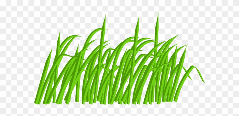 Grass Clipart Black And White Free Images - Blades Of Grass Cartoon - Free  Transparent PNG Clipart Images Download