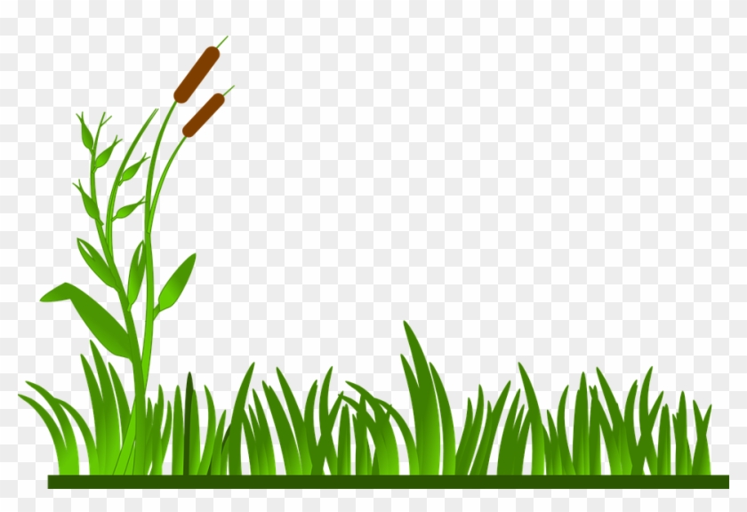 Free Grass Clipart 3, Buy Clip Art - Clip Art Grass Border #294512