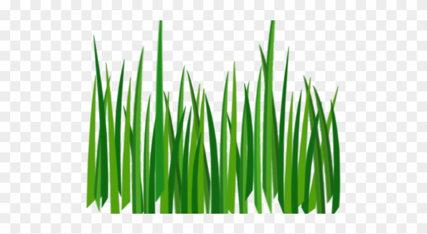 Grass Clipart Images R - Grass Texture #294514