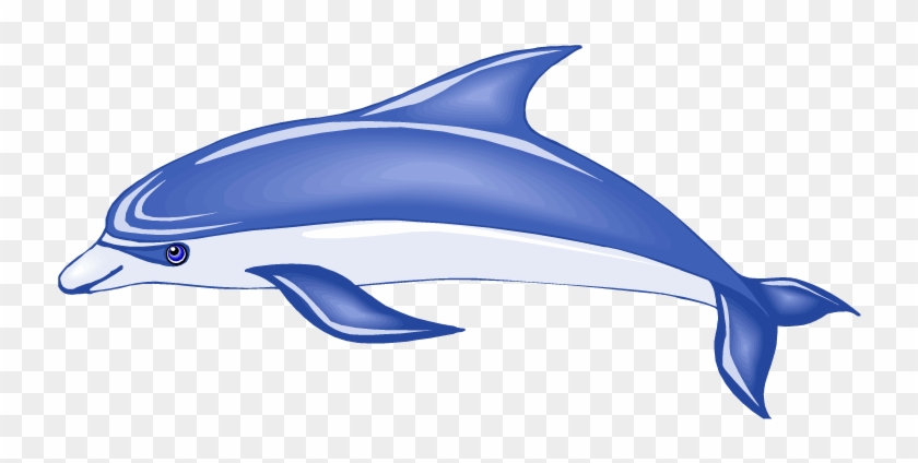 Cute Dolphin Clipart Animals Clip Art Downloadclipart - Bottlenose Dolphin Clip Art #294542