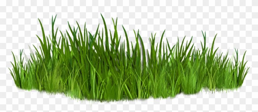 Grass Clipart - Grass Clip Art #294563