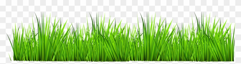 Grass Clip Art Clipart Cliparts For You - Clipart Grass #294601