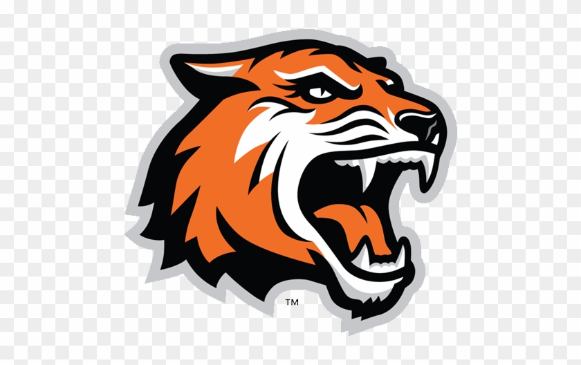 Primary Logo - Rochester Institute Of Technology Mascot #294600