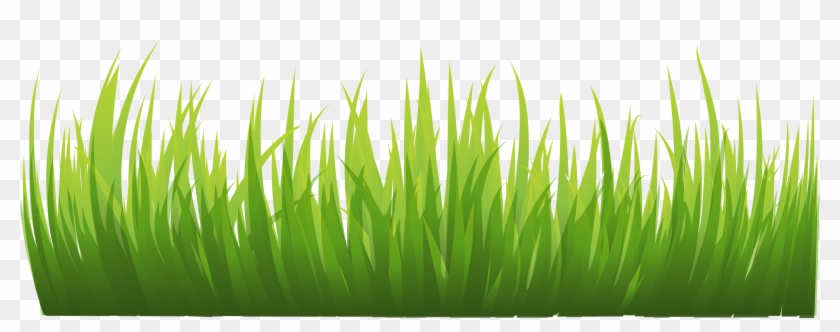 Green Grass Clipart - Green Grass Clipart Png #294671