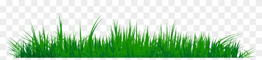 Grass Png Images - Grass Clipart Png #294674