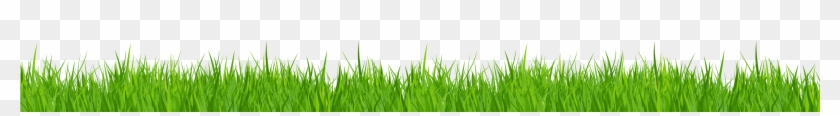 Grass Clipart No Background - Grass Bottom Green Png #294677