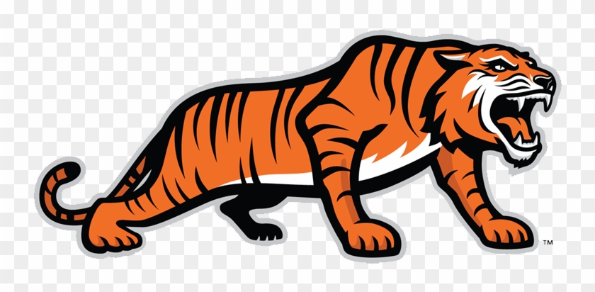 Past Logos - Rochester Institute Of Technology Tiger #294684