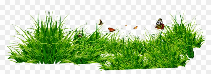 Grass Clipart - Grass Png #294699