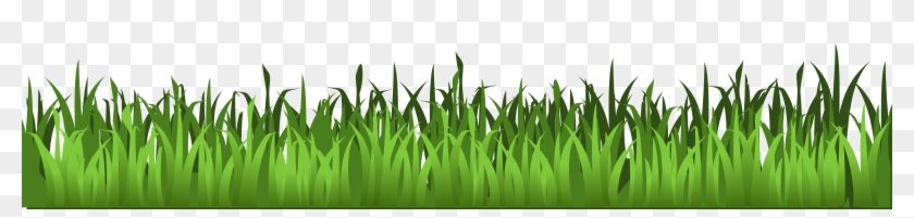 0 Other Images Grass Clipart - Cartoon Grass Transparent Background - Free  Transparent PNG Clipart Images Download