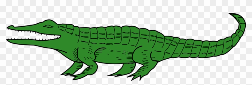 Cartoon Pictures Of Alligators 5, - Krokotiili Piirros #294705