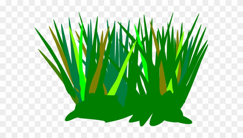 Green Wheat Grass Tuft Clip Art At Clkercom Vector - Cartoon Tuft Of Grass #294710