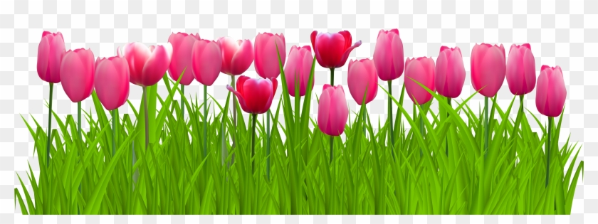 Grass With Pink Tulips Png Clip Art Image - Tulips Png #294762