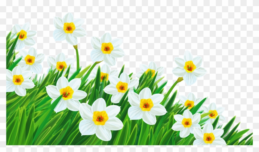 Grass Clipart With No Background - Flowers Clip Art Transparent #294810