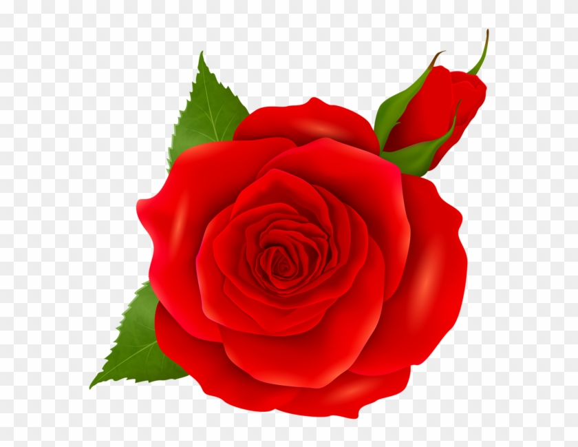 Red Rose And Bud Transparent Png Clip Art - Pink Roses Png #294806